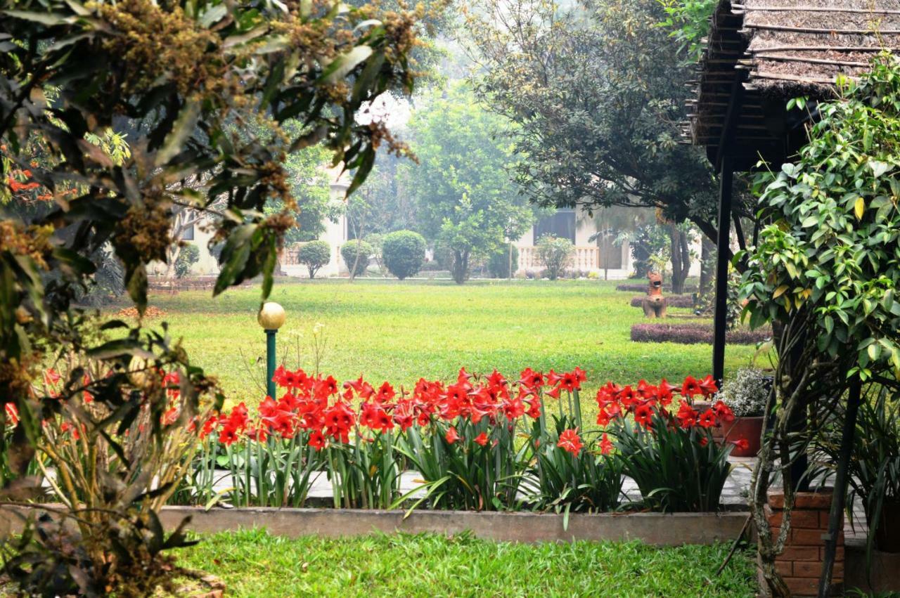 Chitwan Paradise Hotel Sauraha Bagian luar foto