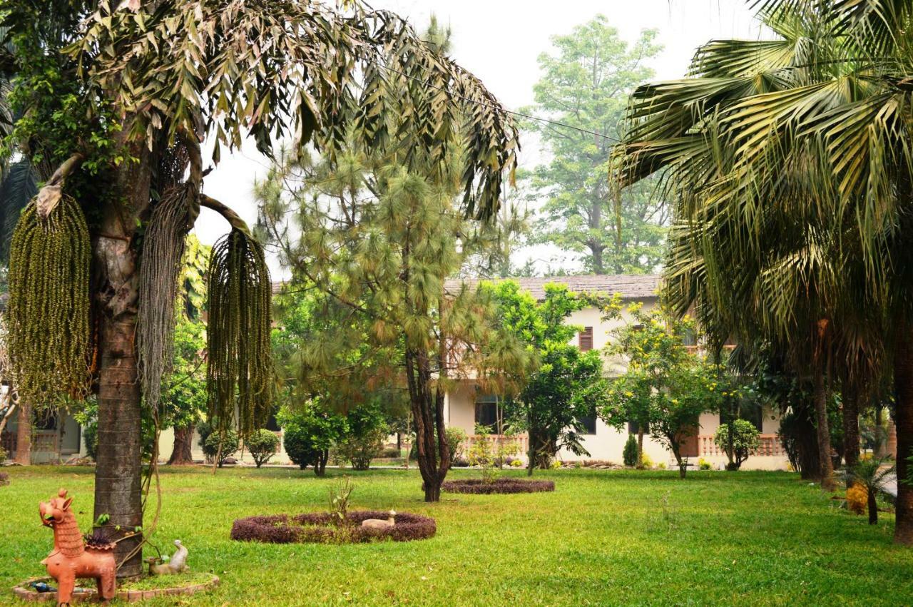 Chitwan Paradise Hotel Sauraha Bagian luar foto