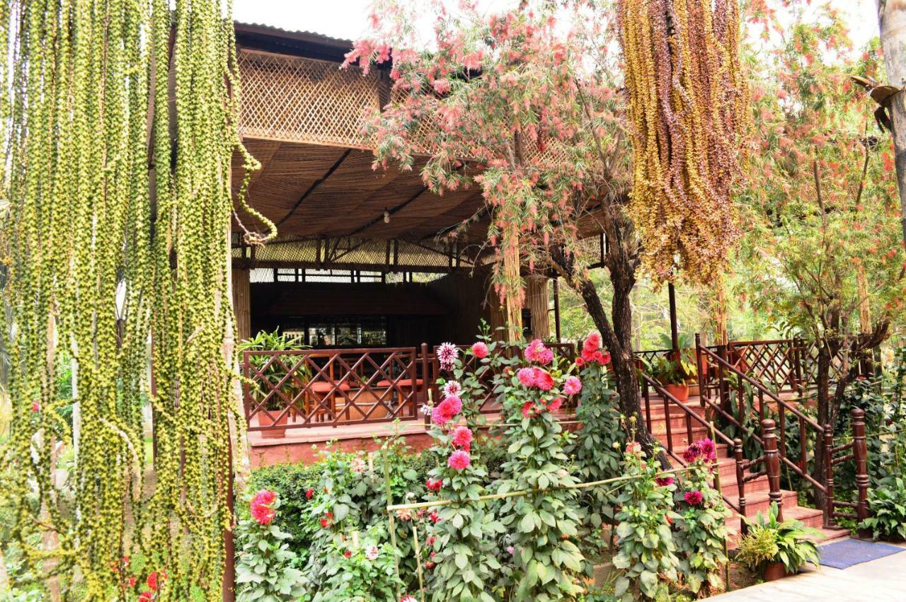 Chitwan Paradise Hotel Sauraha Bagian luar foto