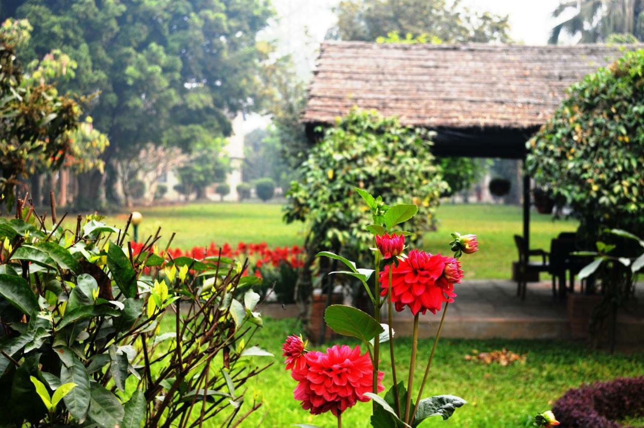 Chitwan Paradise Hotel Sauraha Bagian luar foto