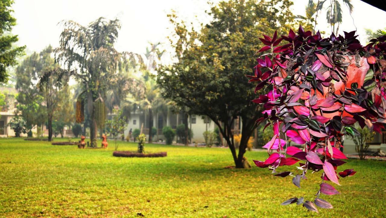 Chitwan Paradise Hotel Sauraha Bagian luar foto