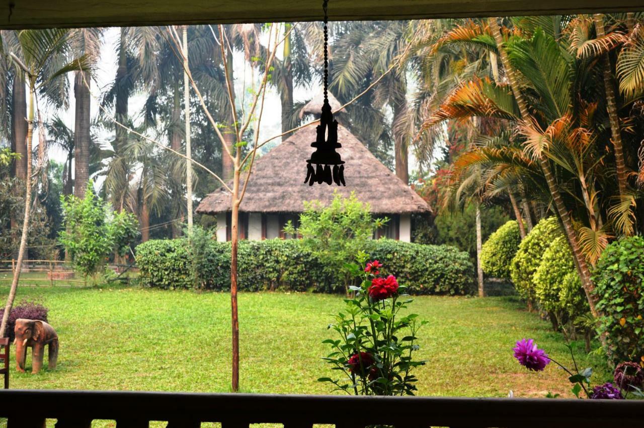 Chitwan Paradise Hotel Sauraha Bagian luar foto