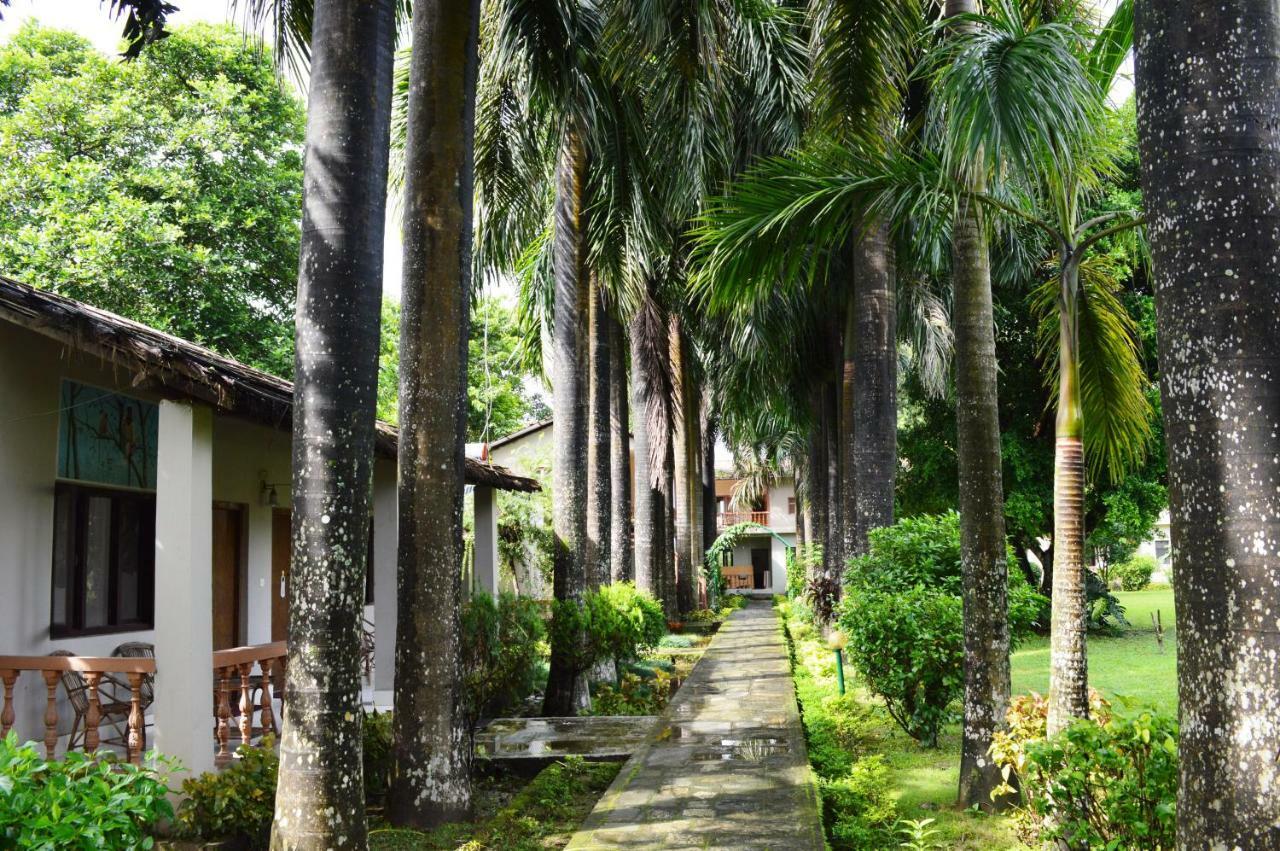 Chitwan Paradise Hotel Sauraha Bagian luar foto